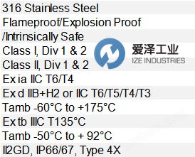 <strong><strong><strong>TOPWORX阀门控制器DXS-L41GNEB</strong></strong></strong> 爱泽工业 ize-industries.png