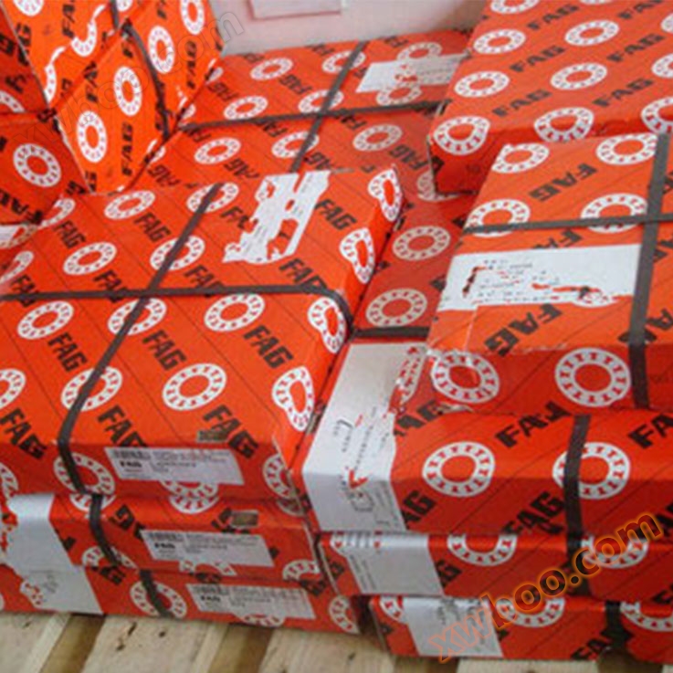 FAG import S6300.W203B roestvrijstalen lagers